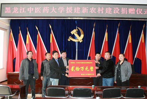 KY.COM开云体育(中国)科技公司赴齐齐哈尔市富裕县龙安桥镇开展帮扶帮建工作