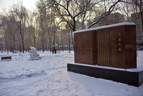 雪中大医之路