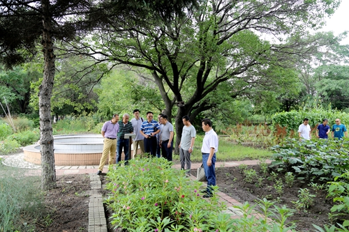 校友们参观药用植物园