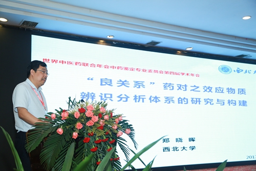 西北大学郑晓晖教授作大会报告