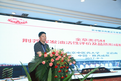 南京中医药大学吴啟南教授作大会报告