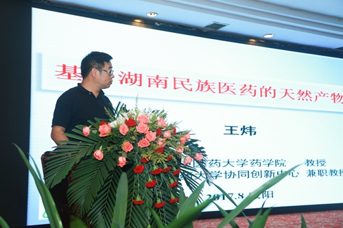 湖南中医药大学王炜教授作大会报告