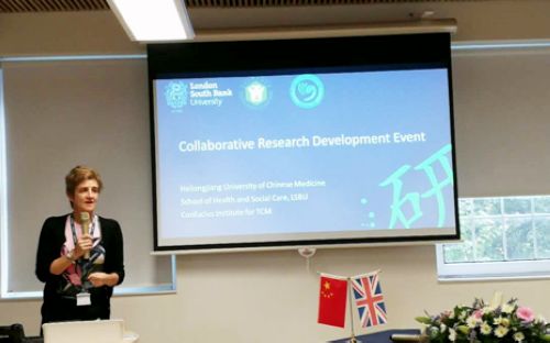 伦敦南岸大学健康学院莱斯利教授主持科研对接会